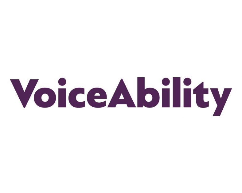 Image illustrating the news post `Voiceability`